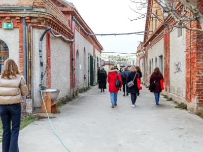 rothneusiedl_blogbeitrag_maerz2024_2_web